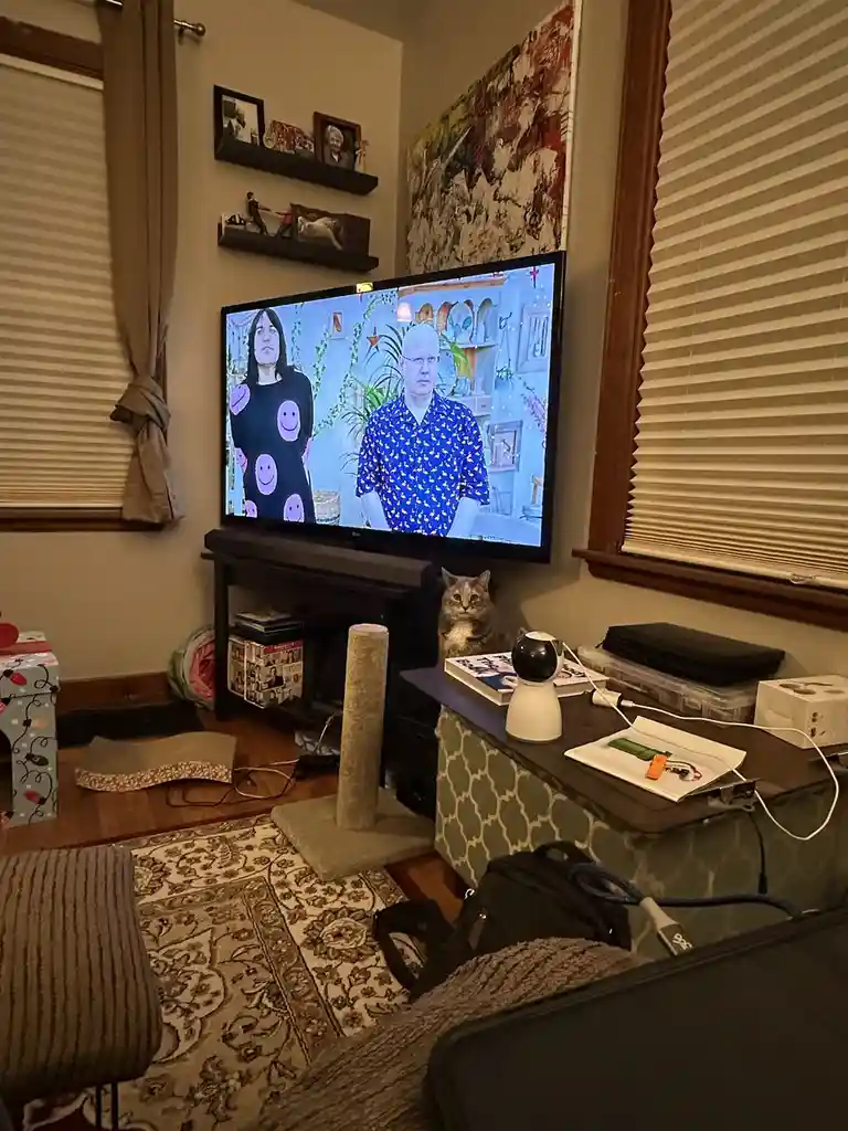 A cat sits on a media console in a living room, looking directly at the camera with a bored expression, while a TV screen…