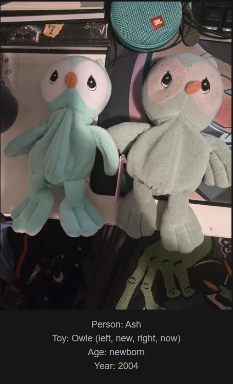 Two plush owl toys sit side-by-side on a desk, one light blue and one light gray, with text overlay identifying them as…