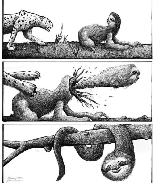 A three-panel black-and-white comic strip shows a sloth being attacked by a jaguar, then violently exploding into a tree…