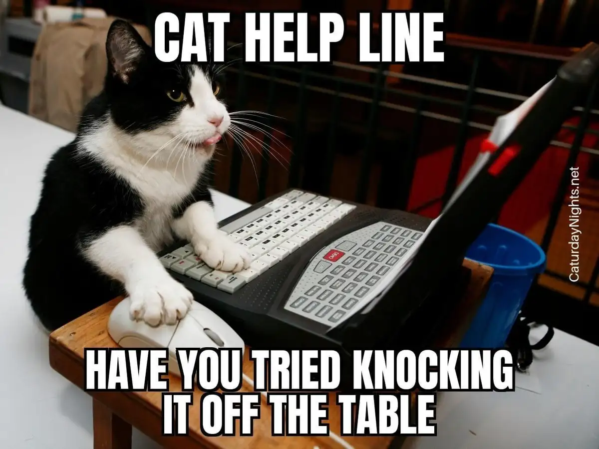 When You Call Technical Support and Hope for the Best