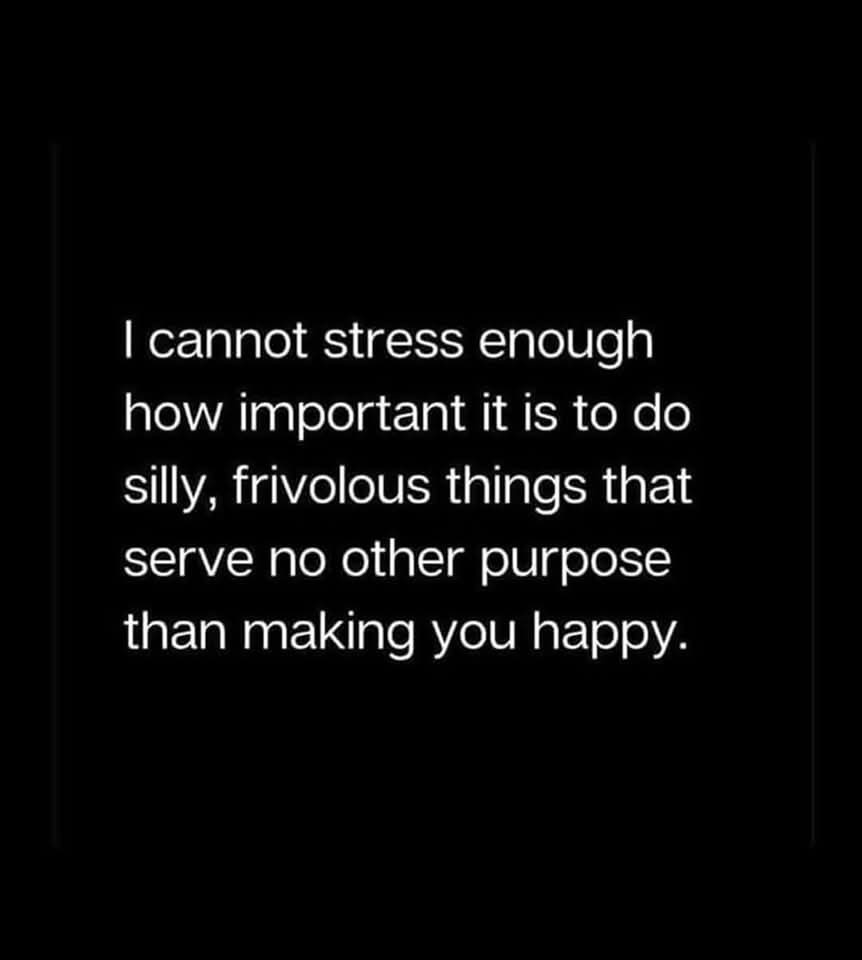 A black background with white text centered, stating: 'I cannot stress enough how important it is to do silly, frivolous…