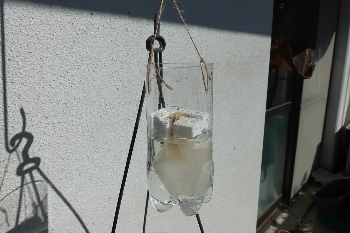 A clear plastic bottle hangs from a black metal stand outdoors, filled with water and two white, porous blocks with a small…