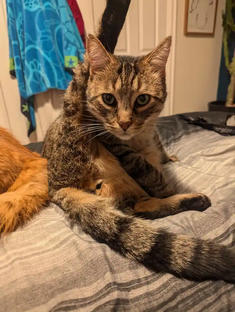 Well, hello there! Fancy seeing you here!