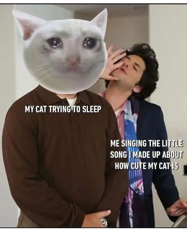 A person with a white cat's face superimposed on their head stands still while another person behind them sings with eyes…