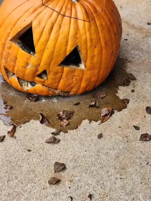 A carved orange pumpkin with triangular eyes and a jagged mouth lies on its side on a wet concrete surface, leaking a dark…