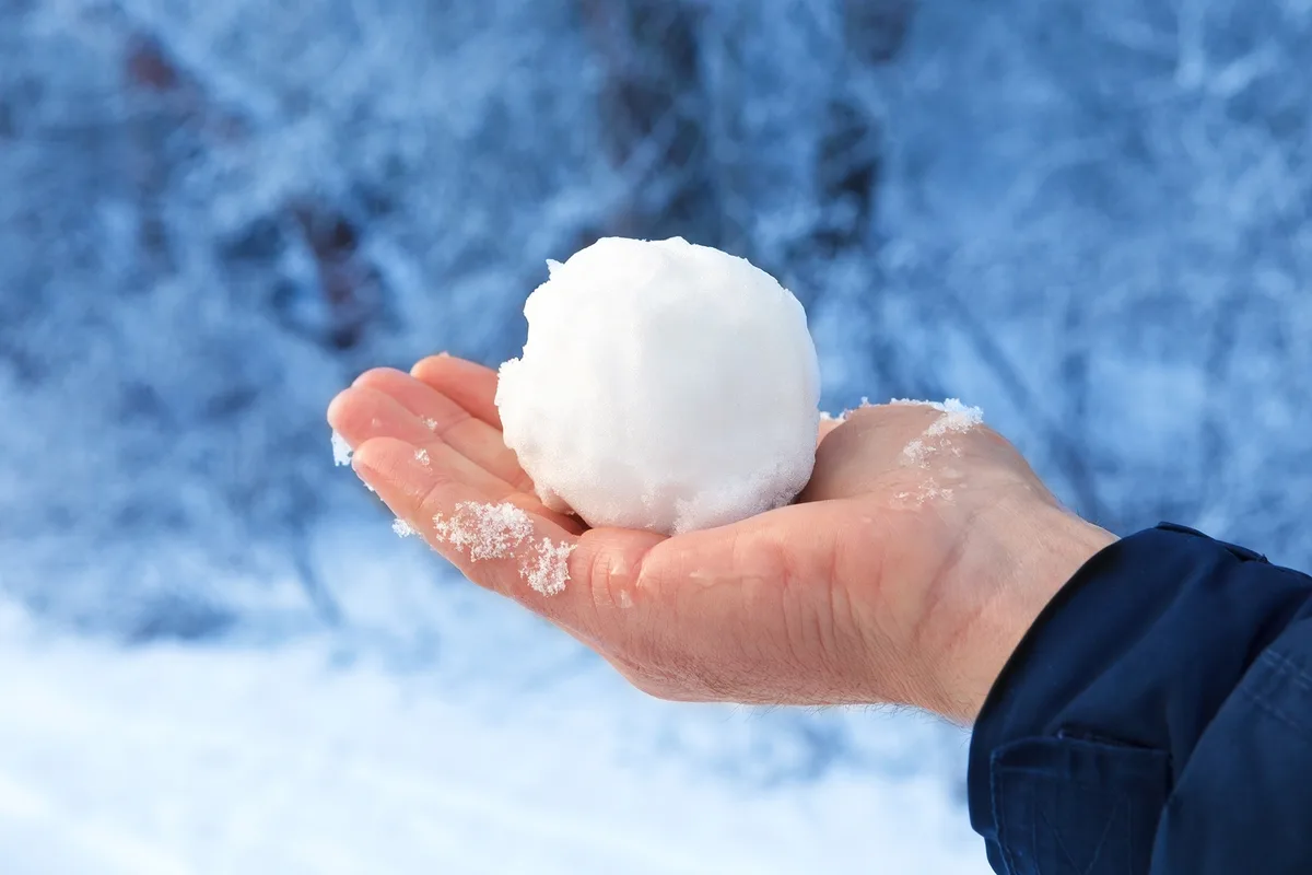 A person's hand holds a round snowball against a snowy, blue-tinted background with blurred trees. Snowflakes are visible on…