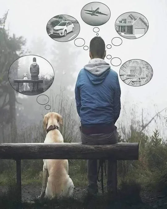 Dogs embody pure tranquility.