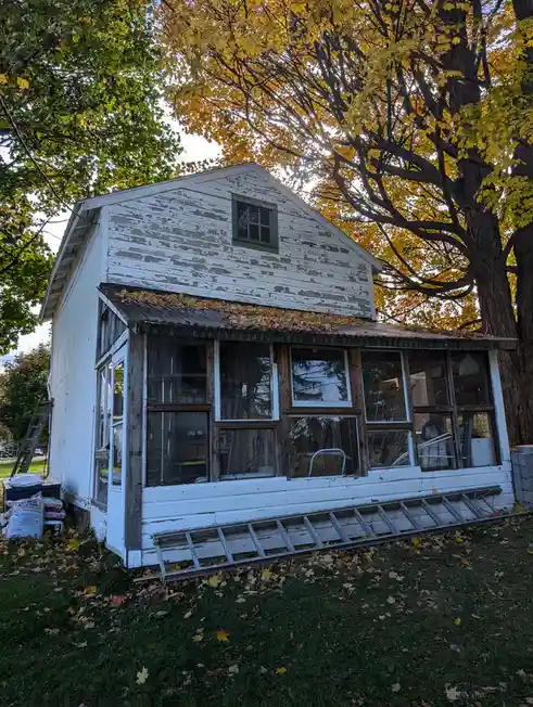 A weathered white shed with peeling paint and a corrugated metal roof covered in fallen autumn leaves. A long ladder lies on…