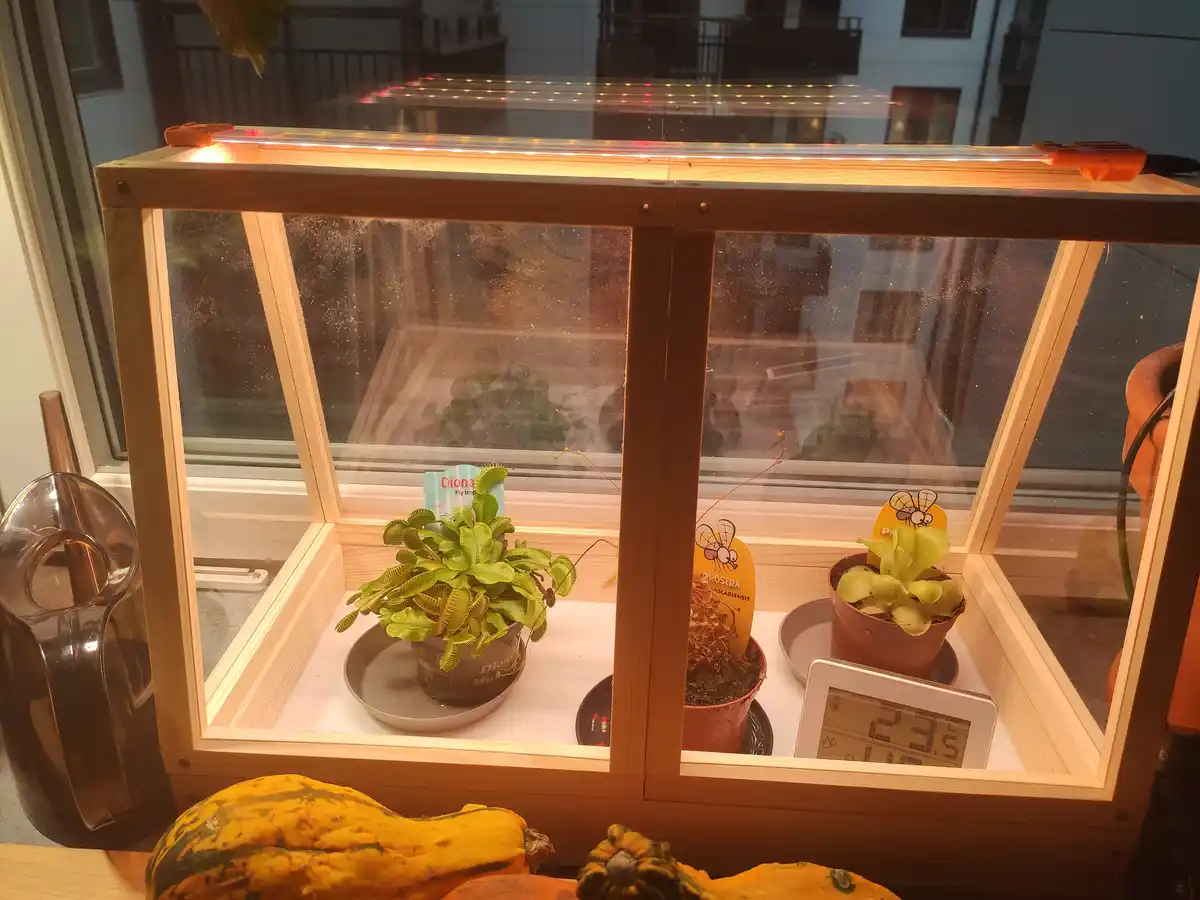 A Tiny Greenhouse Filled with Carnivorous Wonders
