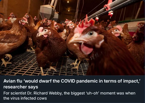 A photo shows many brown chickens in a crowded, dimly lit barn with metal grates on the floor and hanging feeders. Overlaid…