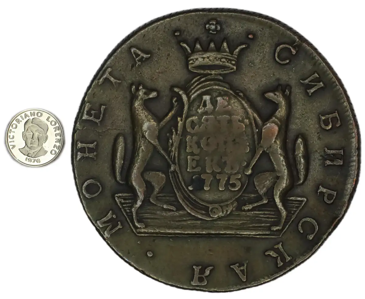 Highlights from My Coin Collection Adventure