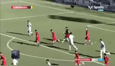 A soccer match broadcast shows a player in white scoring a goal, but the final frame reveals a black dog running into the…
