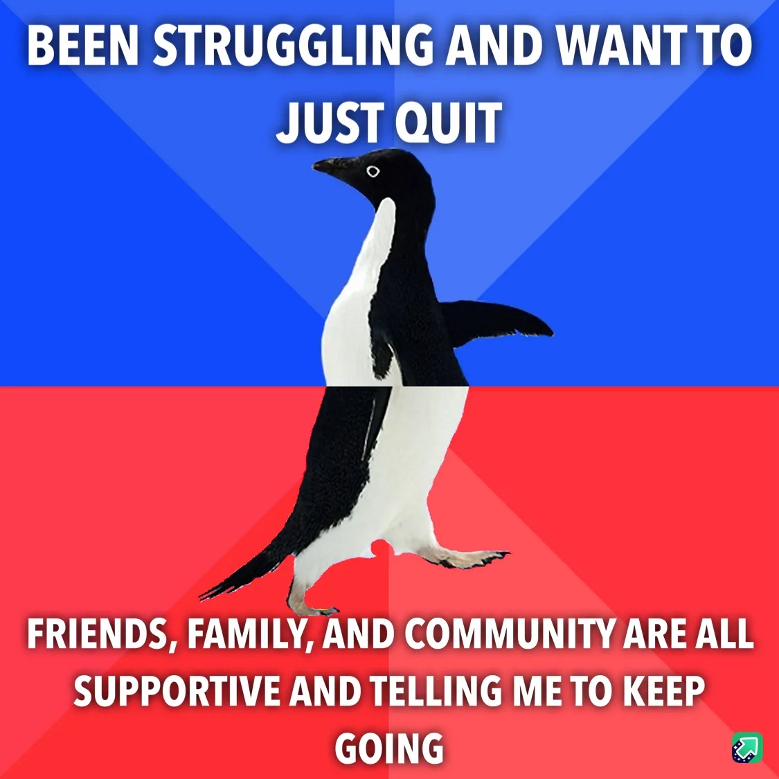 A penguin stands centered against a split blue and red background. The top text reads 'BEEN STRUGGLING AND WANT TO JUST…