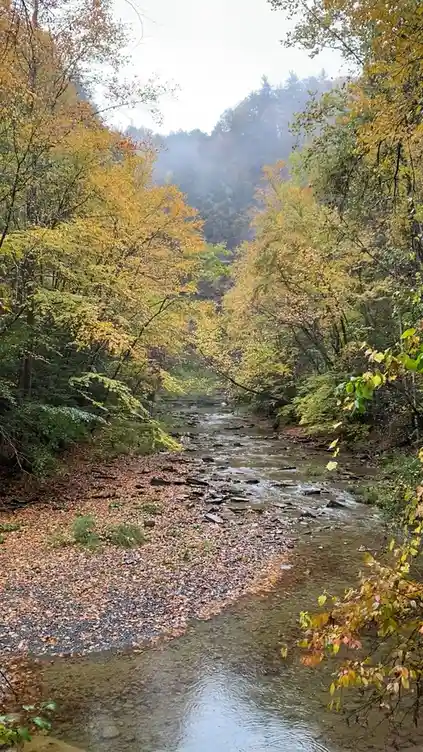 Sunday Nature Vibes: A Breath of Fresh Air