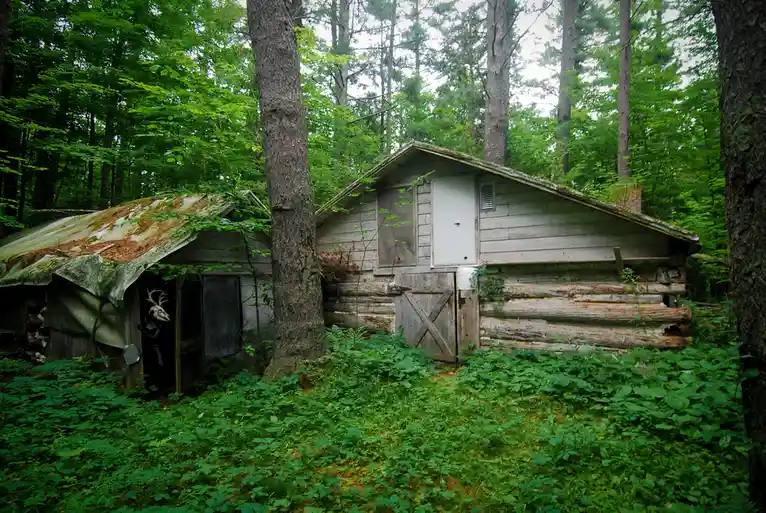 An eerie, overgrown forest scene features two dilapidated wooden cabins. The smaller cabin on the left has a rusted metal…