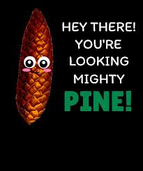 Team Pinecone is Back at It!