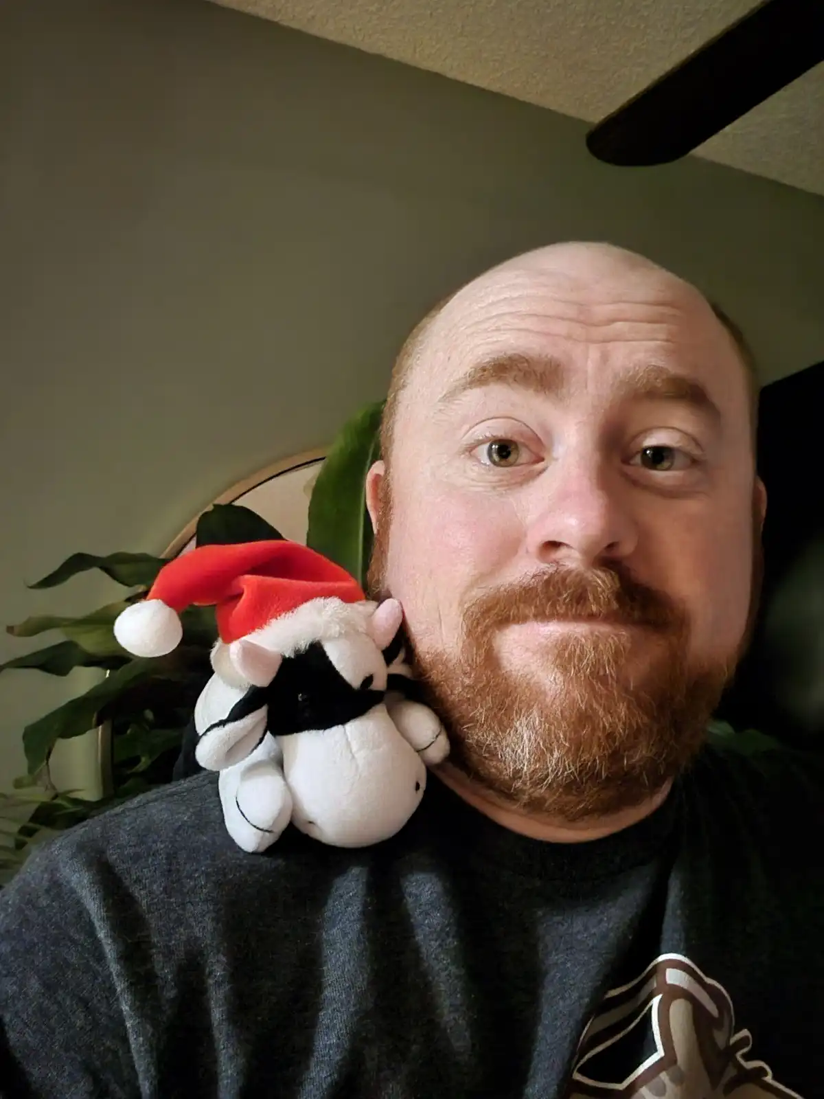 Wishing You a Mooey Christmas!