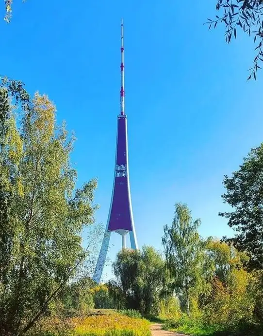 A tall, slender purple and white telecommunications tower stands against a clear blue sky, framed by green trees and foliage…