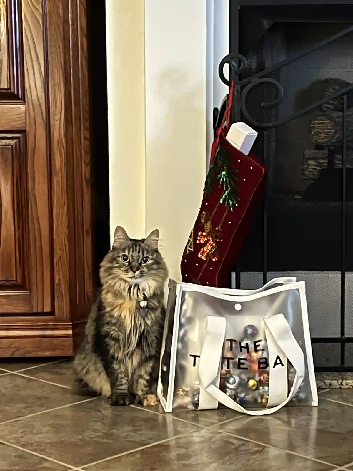 A fluffy tabby cat sits on a tiled floor next to a clear tote bag filled with ornaments, which has the text 'THE TATE BA'…