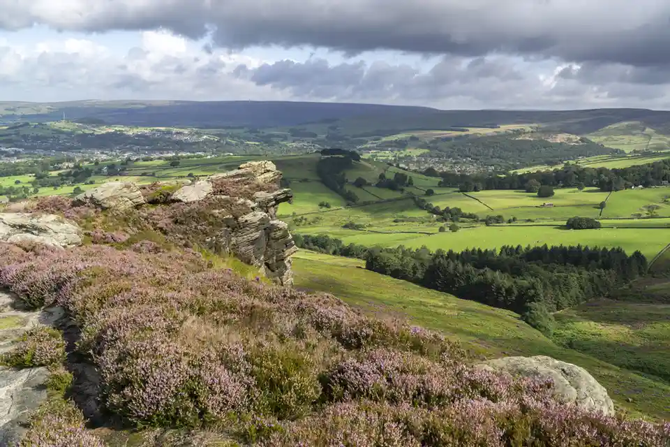 A scenic landscape photo shows a rocky outcrop covered in purple heather overlooking rolling green hills, forests, and…
