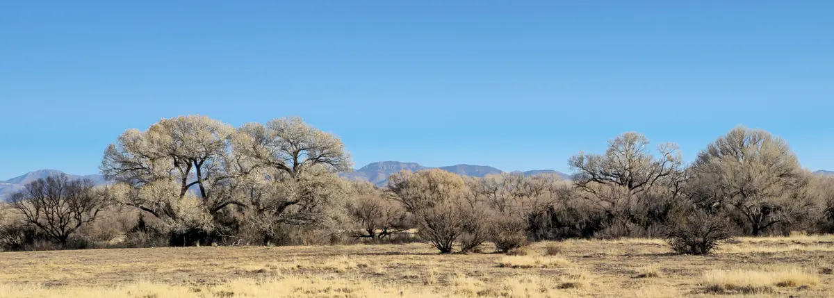 A wide landscape photo shows a dry, grassy field with leafless trees under a clear blue sky, with mountains visible in the…