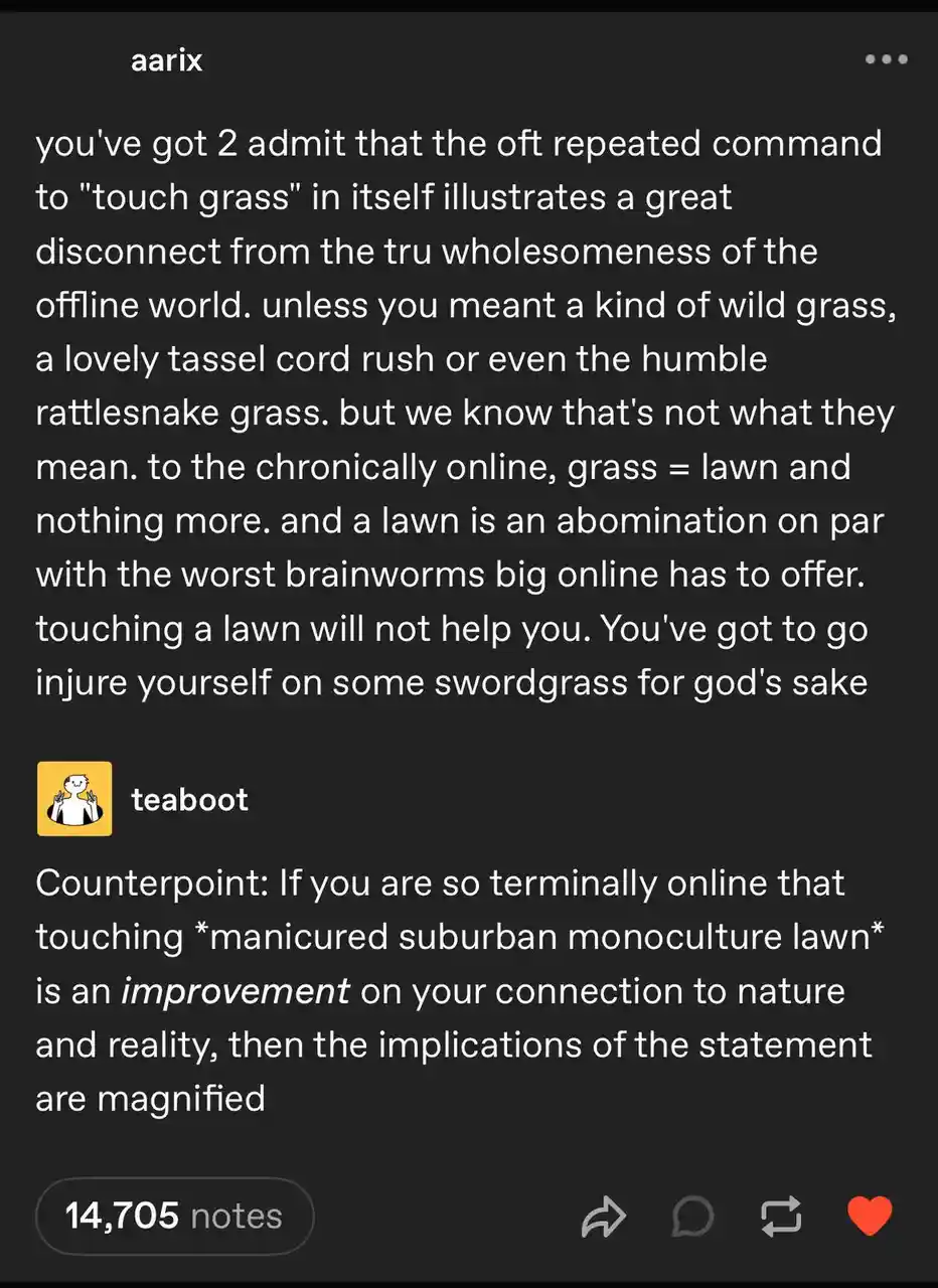A screenshot of a Tumblr-style comment thread where user 'aarix' argues that 'touch grass' is a bad suggestion because lawns…