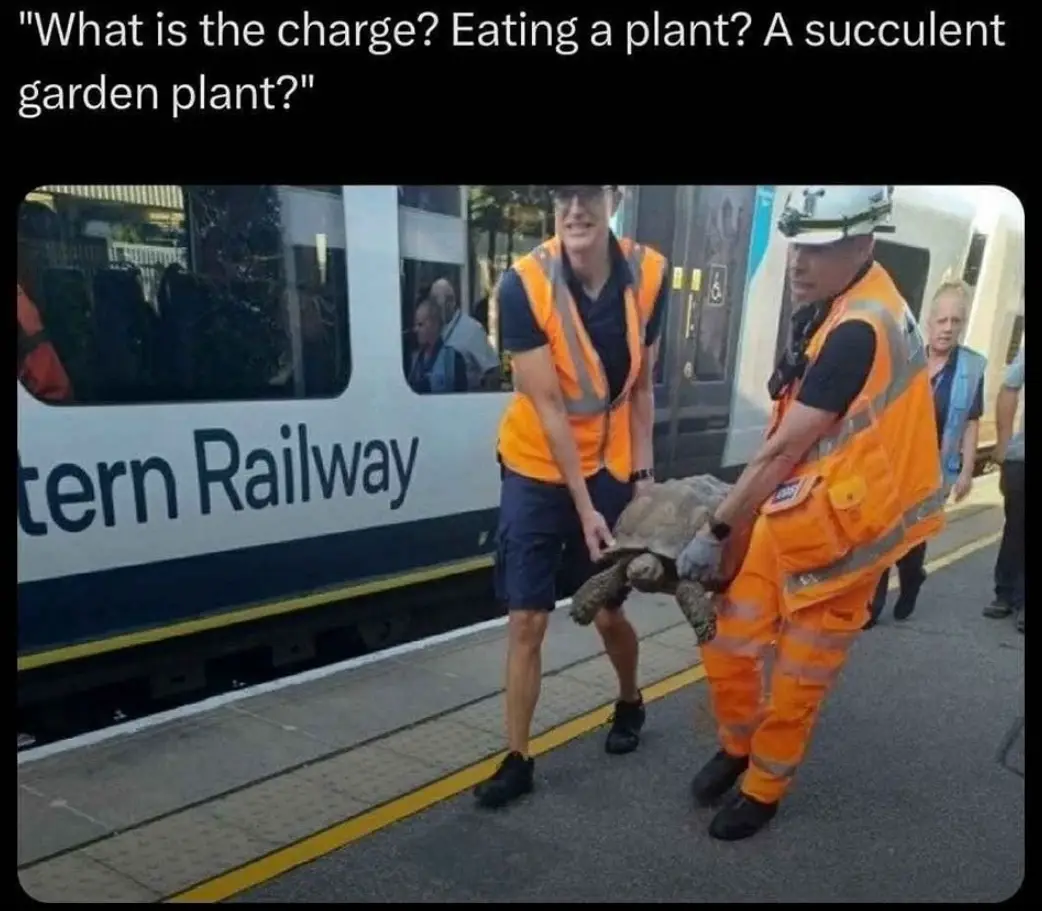 Two railway workers in orange safety vests and hard hats are holding a large tortoise on a train platform next to a…