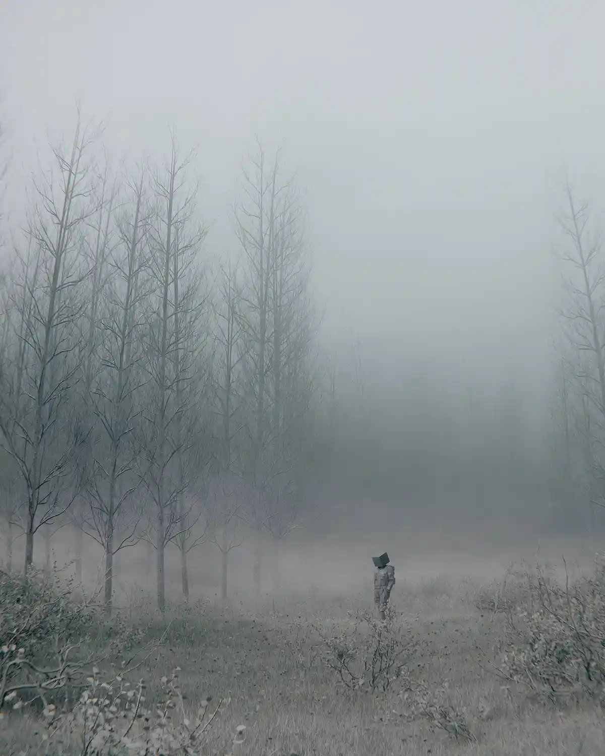 A solitary figure with a square monitor for a head stands in a foggy, desolate field with bare trees. The image is…