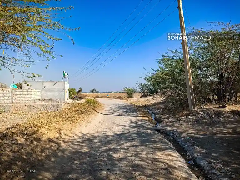 Thamewali Streets: A Sneak Peek into Village Life (Photos from 2025)