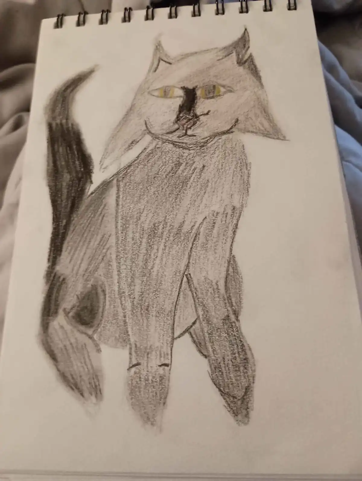 A hand-drawn sketch of a cat on a spiral-bound notebook page, rendered in pencil with shading. The cat has yellow eyes, a…