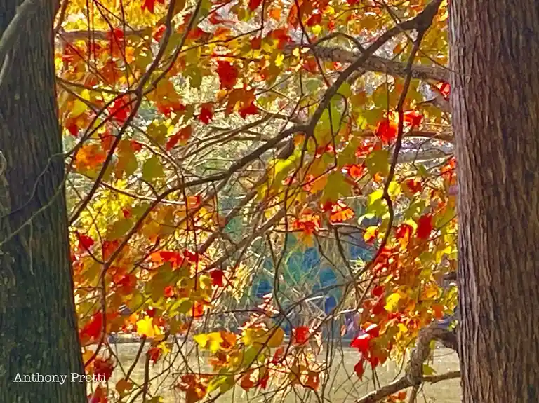 The Beauty of Autumn Unveiled