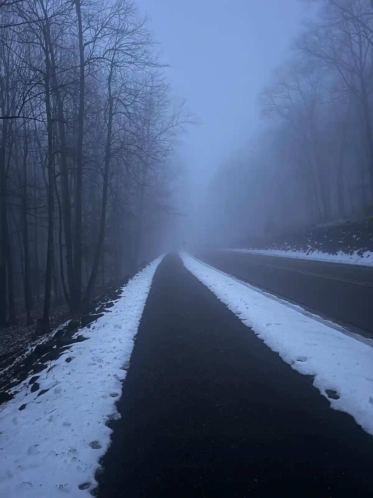 A foggy, snowy road flanked by bare trees, with a dark asphalt path running through the center. The overlaid text reads 'i'm…