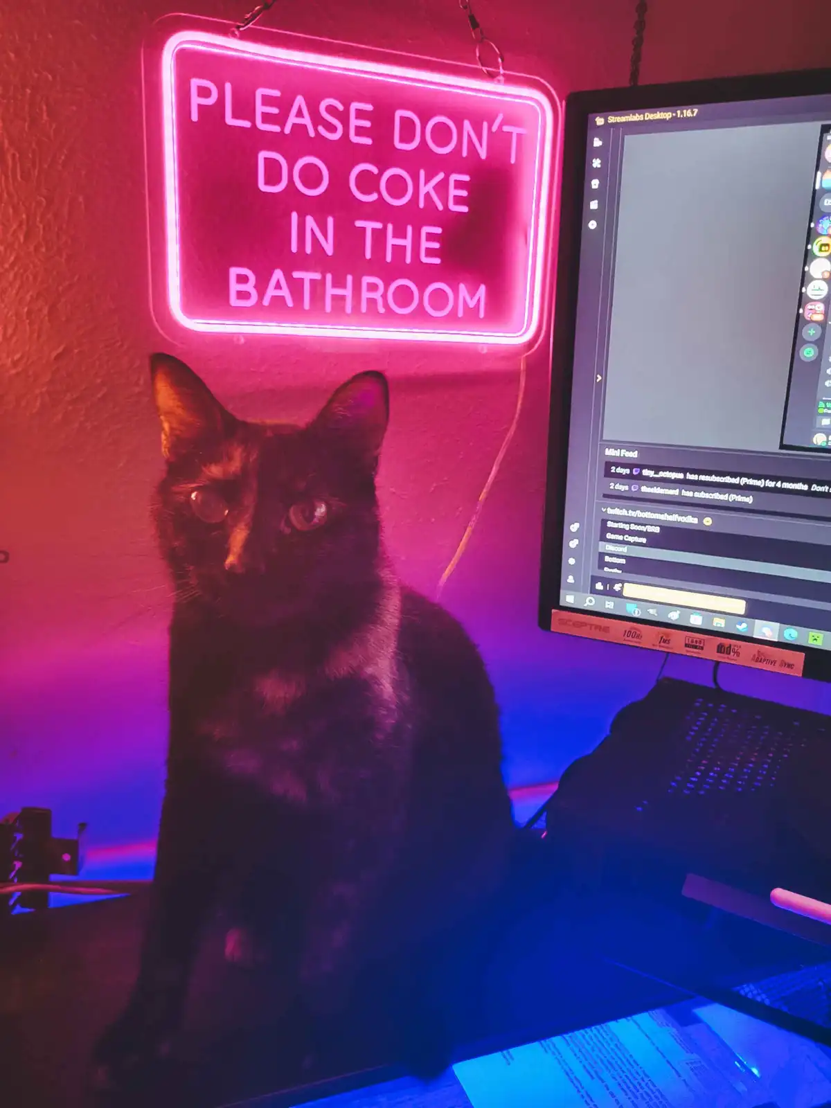 A black cat sits on a desk under pink and blue lighting, looking directly at the camera. Behind it, a pink neon sign reads…