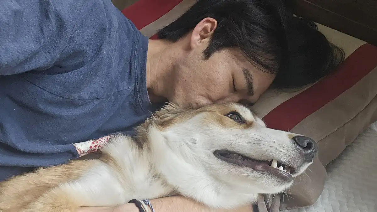 A person with dark hair and a blue shirt is lying on a red and beige striped pillow, nuzzling a tan and white dog that is…