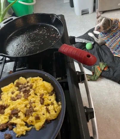 A dog lies on a rug beside a stove, looking at a cast iron skillet with burnt food and a pan of scrambled eggs and sausage…