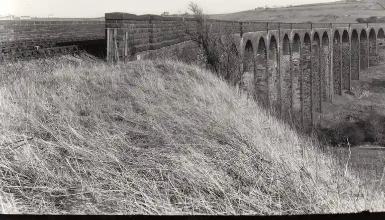 A black-and-white photograph shows a large stone railway viaduct with multiple arches, partially obscured by tall, dry grass…