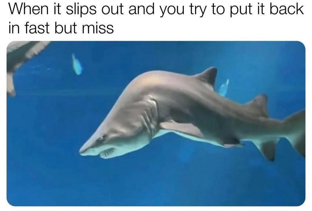 A gray shark swims horizontally in clear blue water, its body slightly blurred as if in motion. The overlaid text reads…