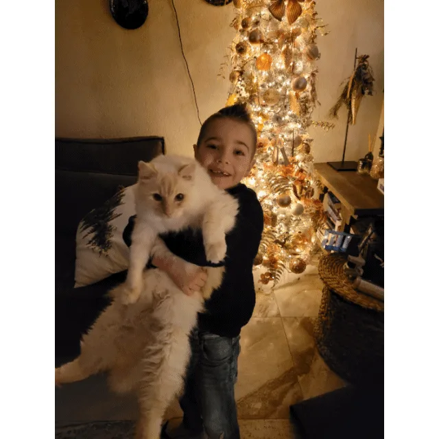 Farewell to My Beloved Fluffy Companion