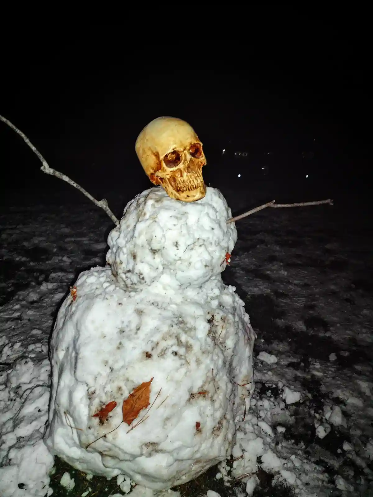 A snowman built at night with a human skull placed on top as its head, using sticks for arms, and with autumn leaves stuck…
