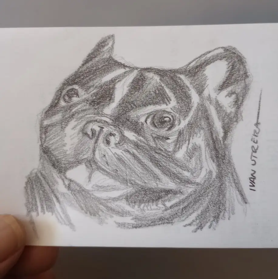 A hand holds a small white card featuring a detailed pencil sketch of a French bulldog's face, with expressive eyes and a…