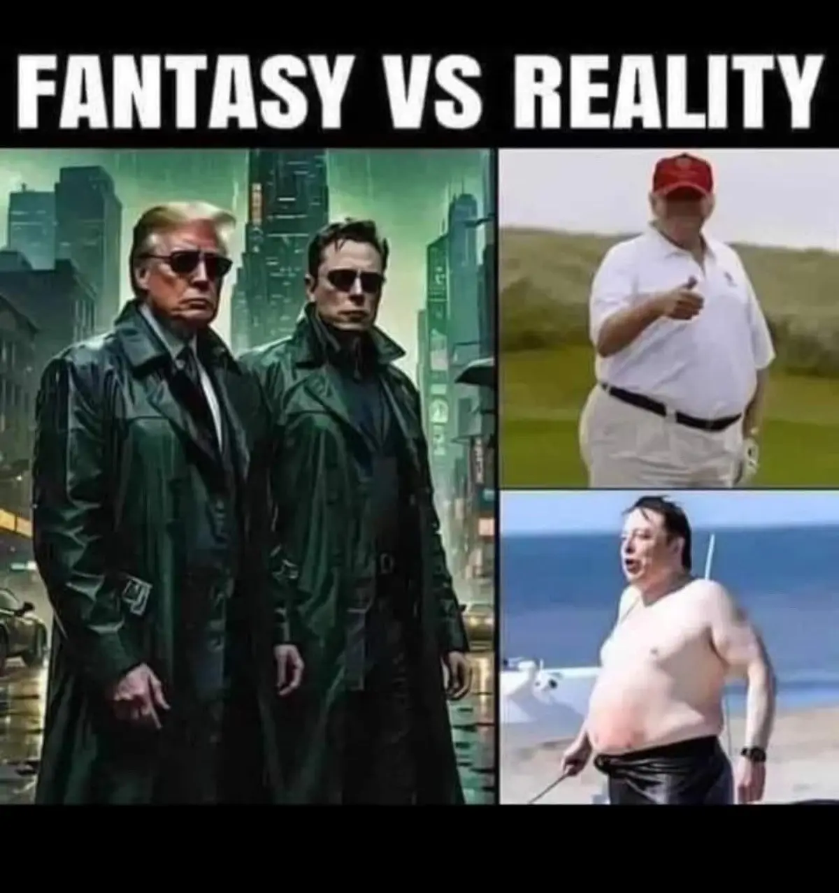 The image displays a 'fantasy vs reality' comparison. The fantasy panel shows Donald Trump and Elon Musk in dark trench…