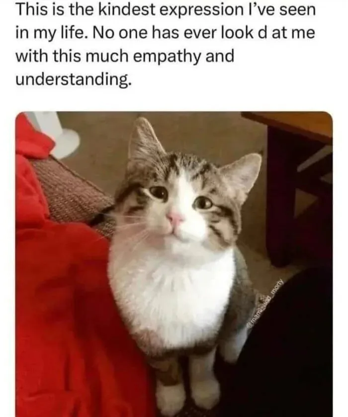 That Expression Says It All!