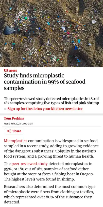 An image of a beach covered in colorful plastic microdebris overlaid with a screenshot of a US news article reporting that a…