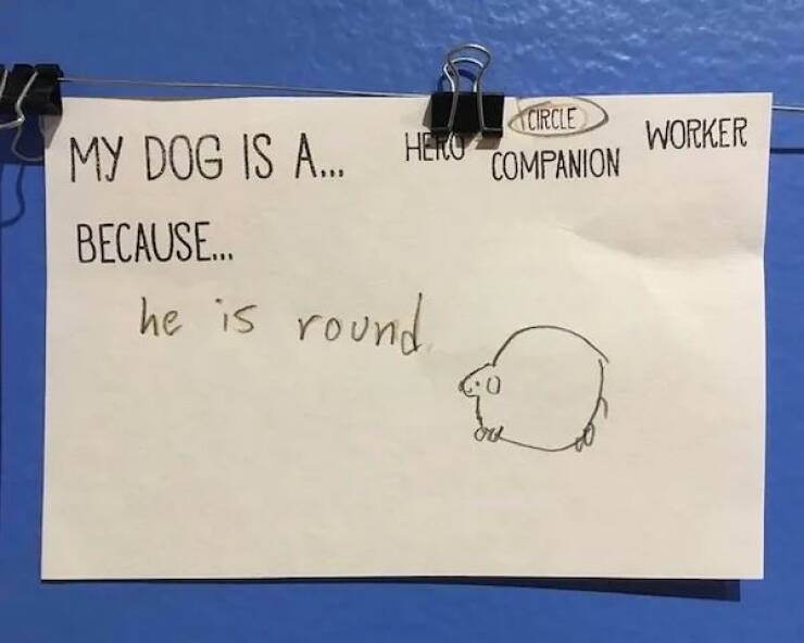 A handwritten note on a white sheet of paper clipped to a blue surface reads 'MY DOG IS A... HERO COMPANION WORKER…