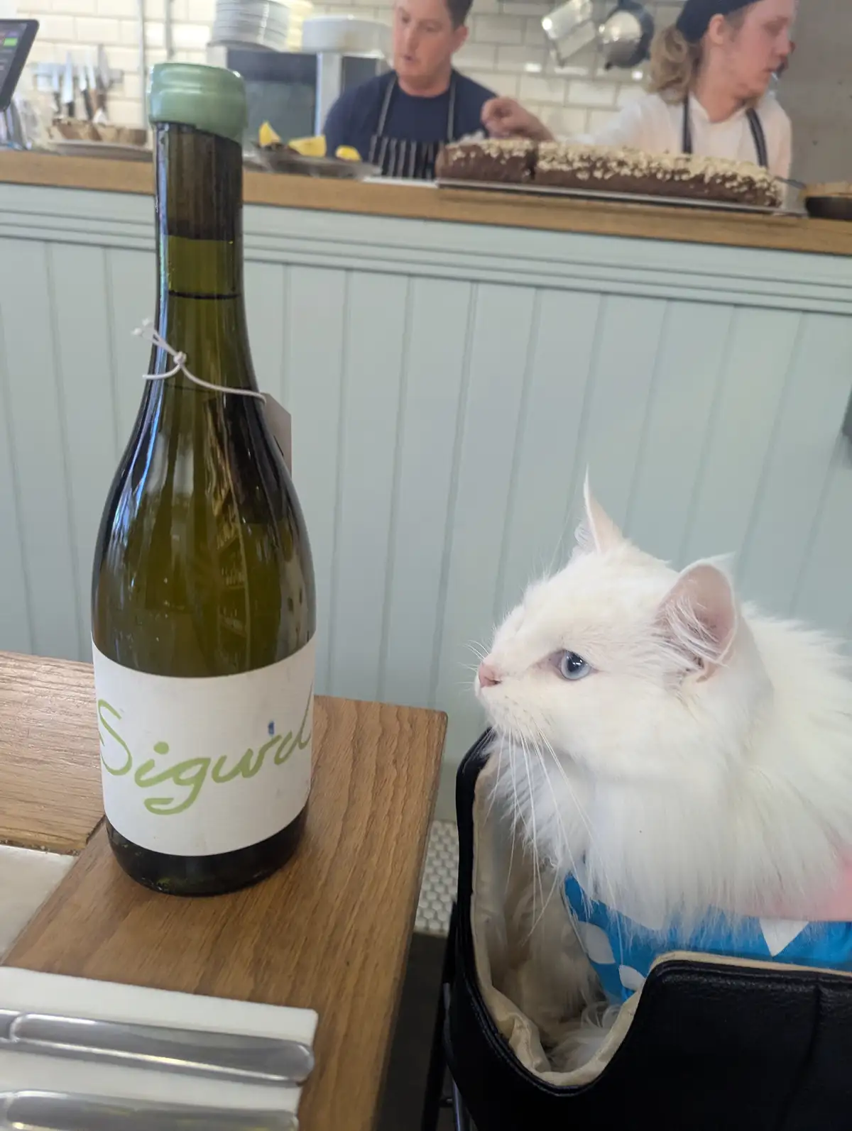 A white cat with blue eyes sits in a black carrier on a wooden table next to a green wine bottle labeled 'Sigurd'. The cat…