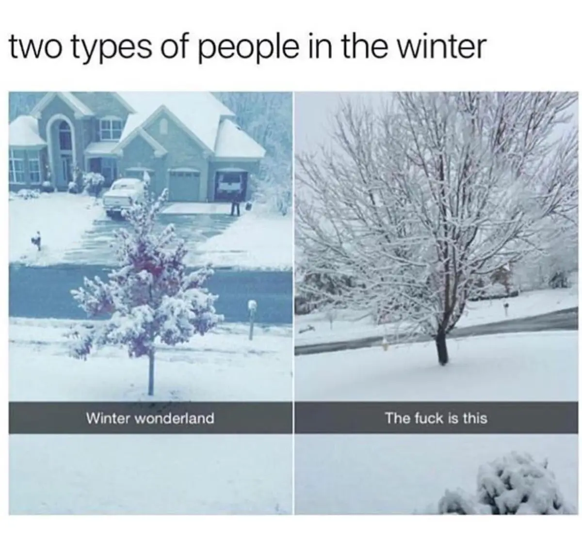 The image is split into two panels showing snowy scenes. The left panel shows a picturesque snow-covered house and yard with…