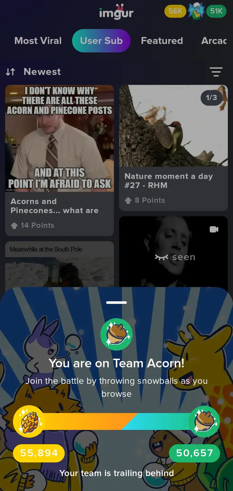 What on Earth is Team Acorn?