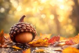 A close-up photograph shows a single acorn resting on a wet surface surrounded by fallen autumn leaves. The background is…