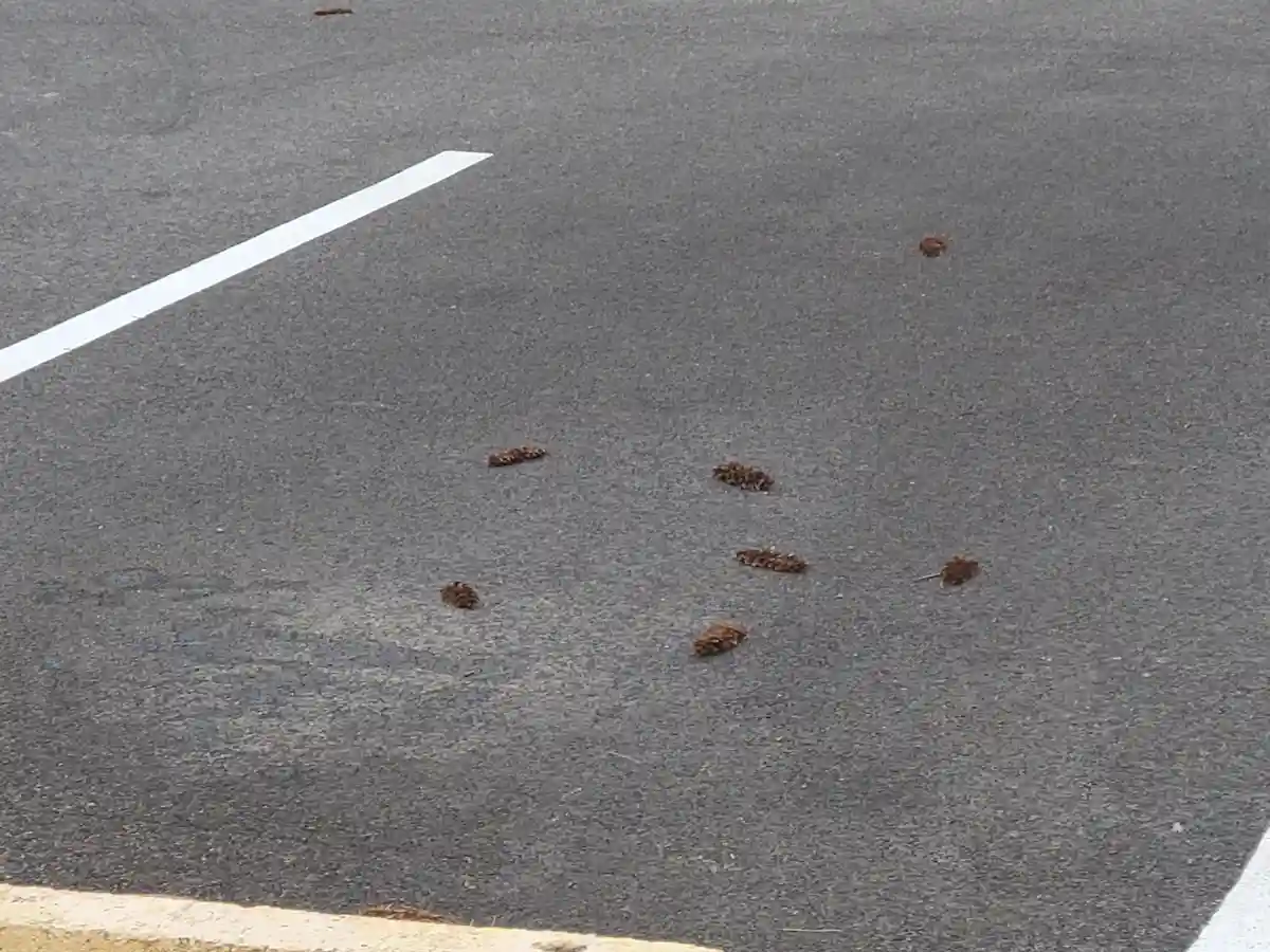 That Work Parking Lot Gave Me a Flashback