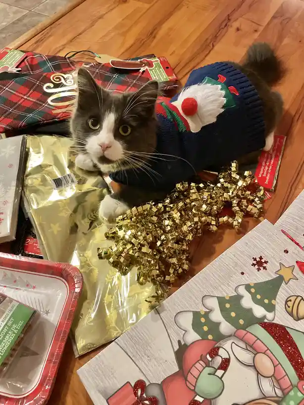 Ralph's Magical First Christmas Celebration